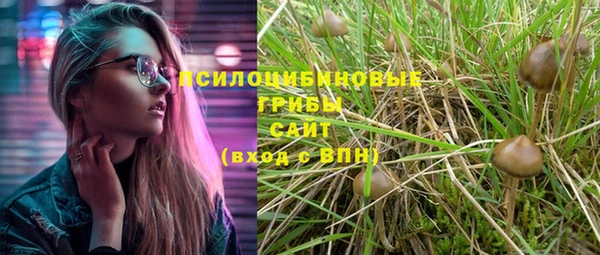 spice Алзамай