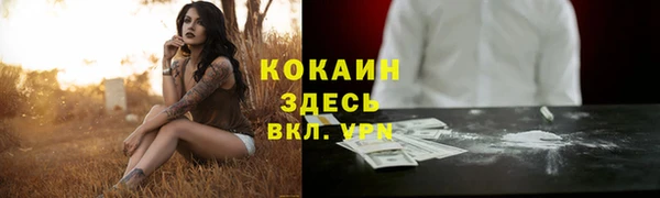 spice Алзамай
