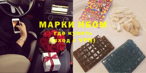 прущие грибы Абинск