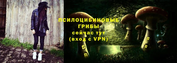 прущие крисы Алексеевка